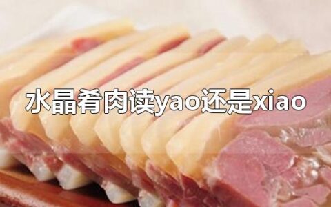 水晶肴肉读yao还是xiao