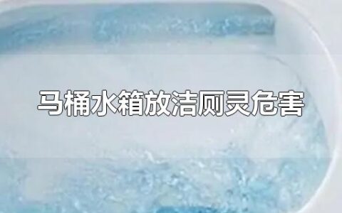 马桶水箱放洁厕灵危害