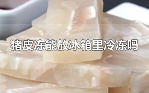 猪皮冻能放冰箱里冷冻吗