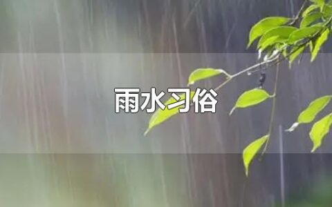 雨水习俗