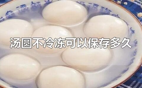 汤圆不冷冻可以保存多久