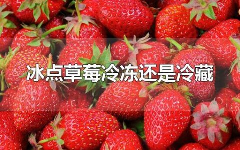 冰点草莓冷冻还是冷藏