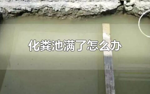 化粪池满了怎么办