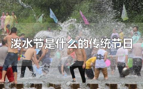 泼水节是什么的传统节日