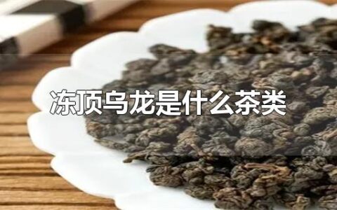 冻顶乌龙是什么茶类