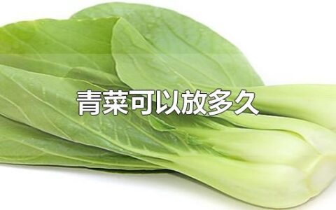 青菜可以放多久