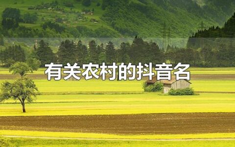 有关农村的抖音名