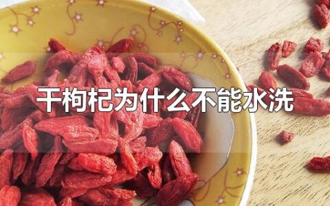 干枸杞为什么不能水洗