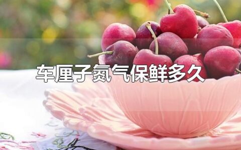 车厘子氮气保鲜多久