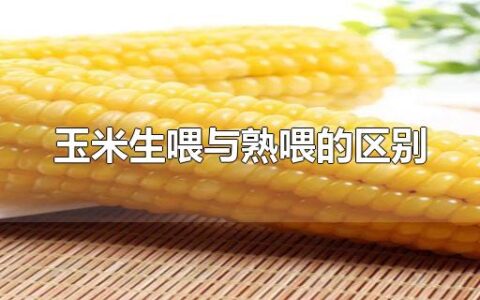 玉米生喂与熟喂的区别