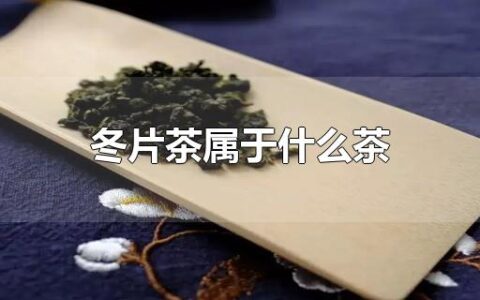 冬片茶属于什么茶