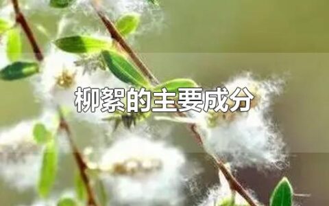 柳絮的主要成分