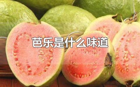 芭乐是什么味道