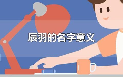 辰羽的名字意义