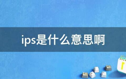 ips是什么意思啊