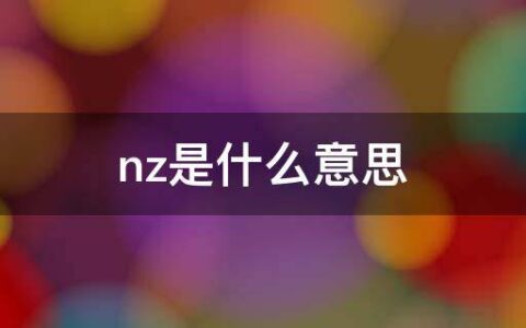 nz是什么意思