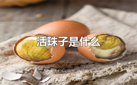 活珠子是什么