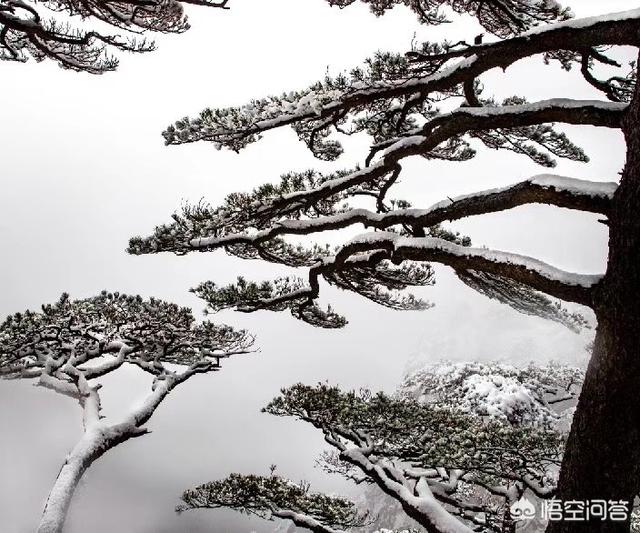 拼的时代拼的社会，你在拼什么，拼爹，拼人脉，拼颜值，拼学历，拼装，拼人品，拼命？