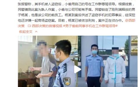 男子偷前同事手机进工作群骂领导，民警：刑事拘留