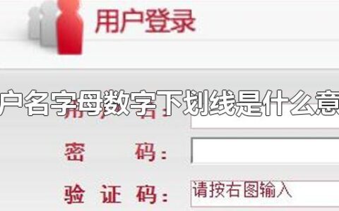 用户名字母数字下划线是什么意思