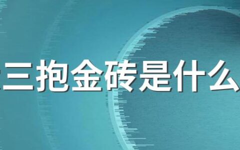 女大三抱金砖是什么意思 女大三抱金砖的意思