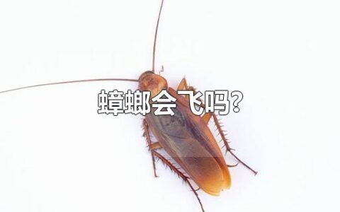 蟑螂会飞吗?