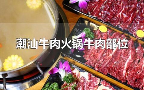 潮汕牛肉火锅牛肉部位