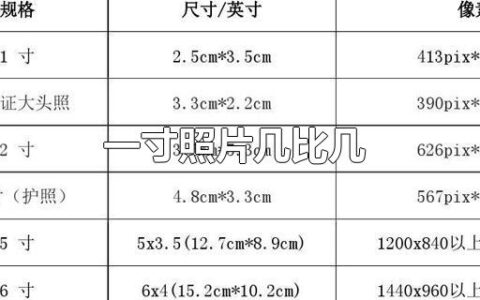 一寸照片几比几