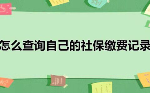 怎么查询自己的社保缴费记录