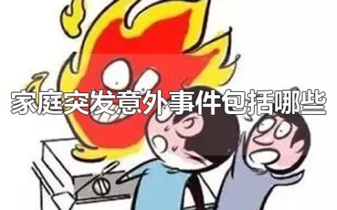 家庭突发意外事件包括哪些