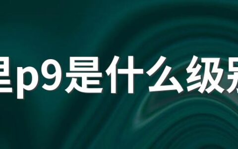 阿里p9是什么级别 阿里p9是属于哪一级别