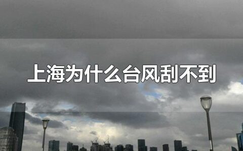 上海为什么台风刮不到