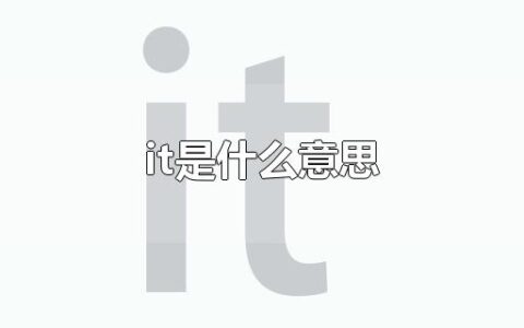 it是什么意思