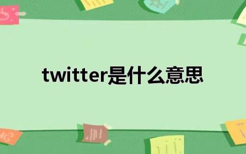 twitter是什么意思