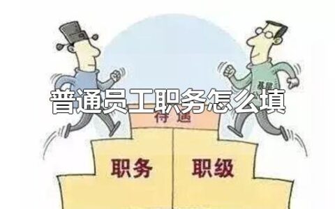 普通员工职务怎么填