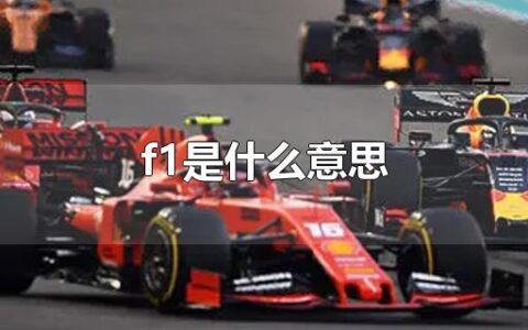 f1是什么意思