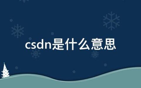 csdn是什么意思