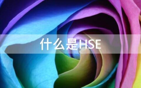 什么是HSE