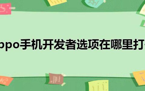 oppo手机开发者选项在哪里打开