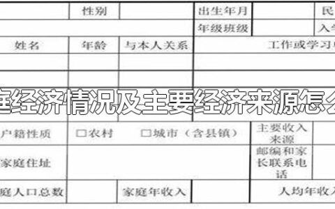 家庭经济情况及主要经济来源怎么写