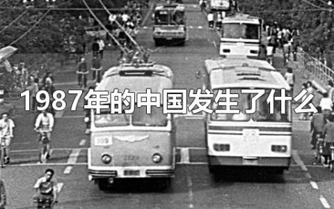 1987年的中国发生了什么