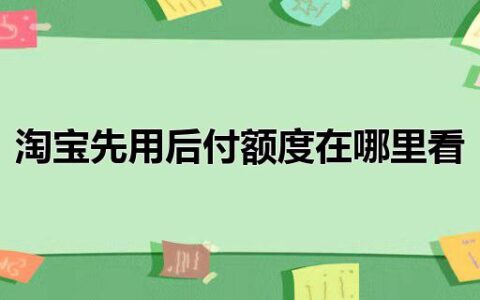 淘宝先用后付额度在哪里看