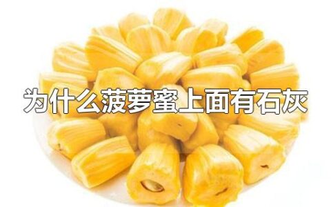 为什么菠萝蜜上面有石灰