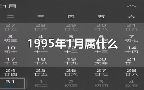 1995年1月属什么