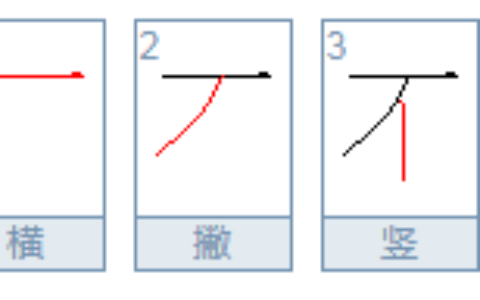 不的拼音是什么?