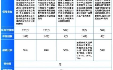 2024年度深圳惠民保理赔细则