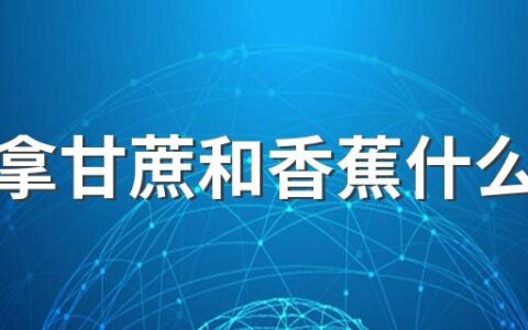 高考拿甘蔗和香蕉什么意思 高考要不要家长送考的