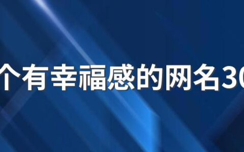 取一个有幸福感的网名300个 幸福美满的网名