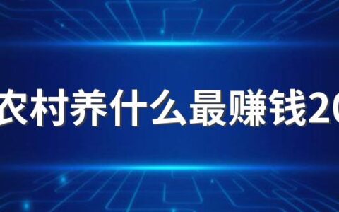 现在农村养什么最赚钱2022 不打工在农村能做什么副业