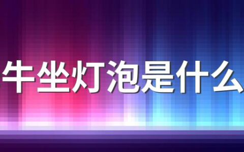 小母牛坐灯泡是什么意思 小母牛坐灯泡是什么梗